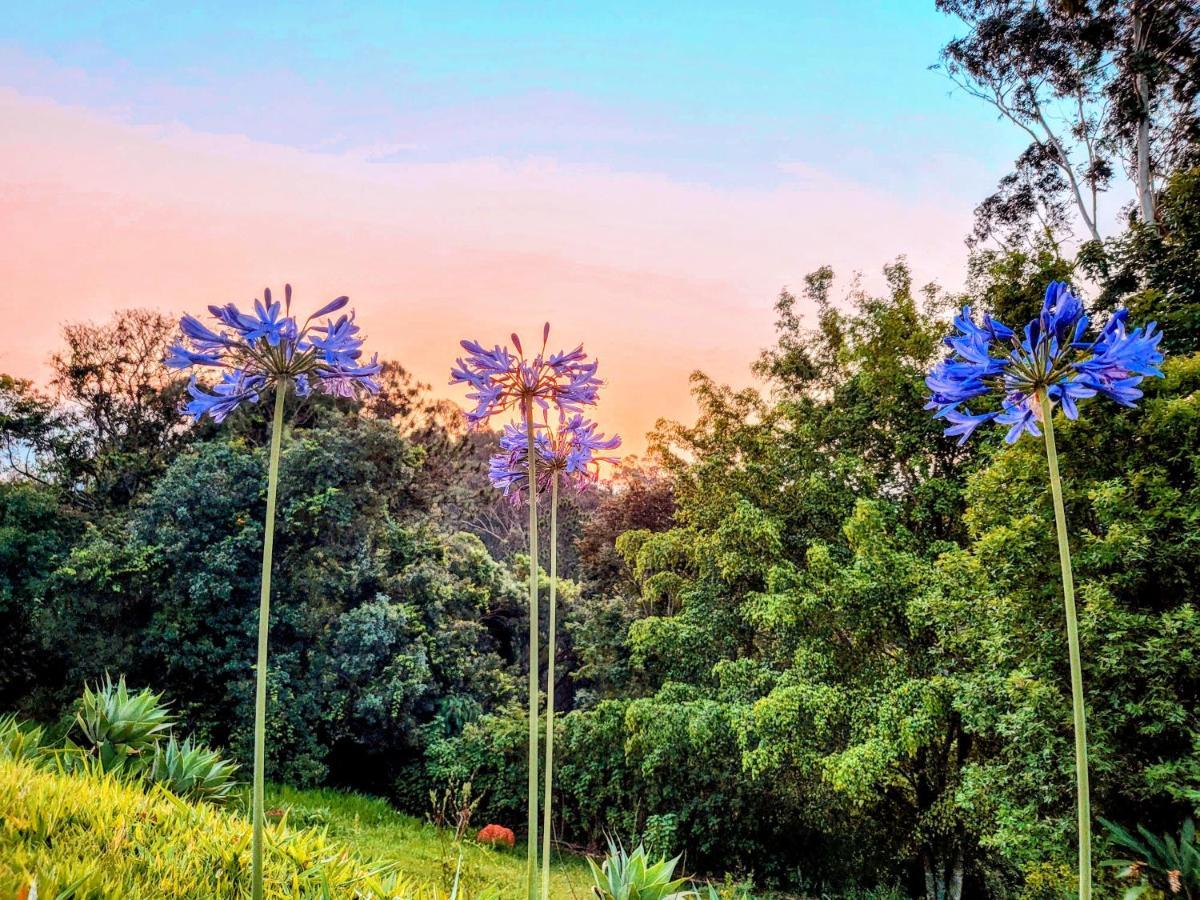 Pousada Dharma Luz E Paz Bragança Paulista Εξωτερικό φωτογραφία